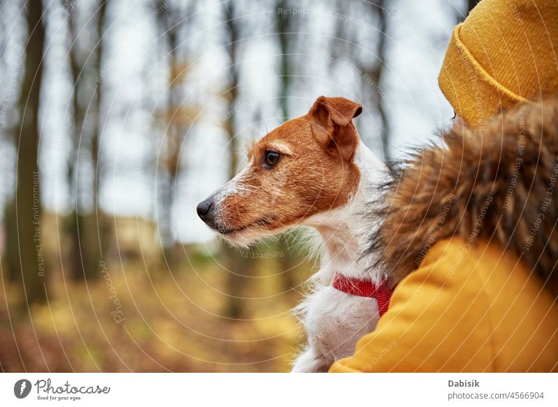 Frau mit ihrem Hund im herbstlichen Park Porträt Spaziergang Herbst Natur im Freien Haustier Besitzer Saison Tier züchten Eckzahn heiter Begleiter tagsüber