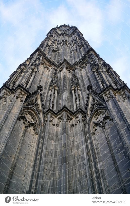 Himmelsstürmende Gotik: Blick an der Fassade eines Turms des Kölner Doms empor gotischer Stil Architektur Religion & Glaube Gotteshäuser Kathedrale