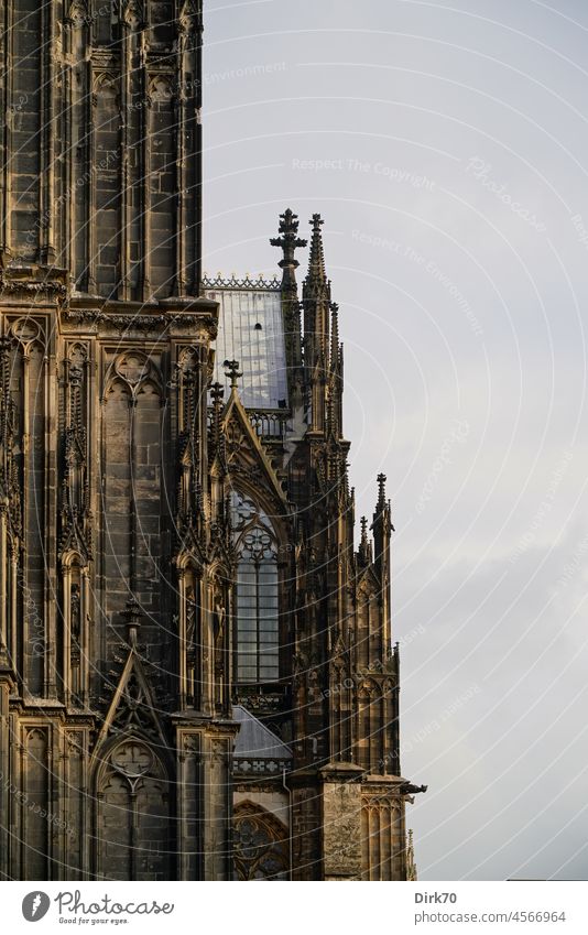 Detail der Südfassade und des südlichen Querschiffs des Kölner Doms Gotik gotischer Stil Sehenswürdigkeit Wahrzeichen Farbfoto Außenaufnahme Architektur Kirche