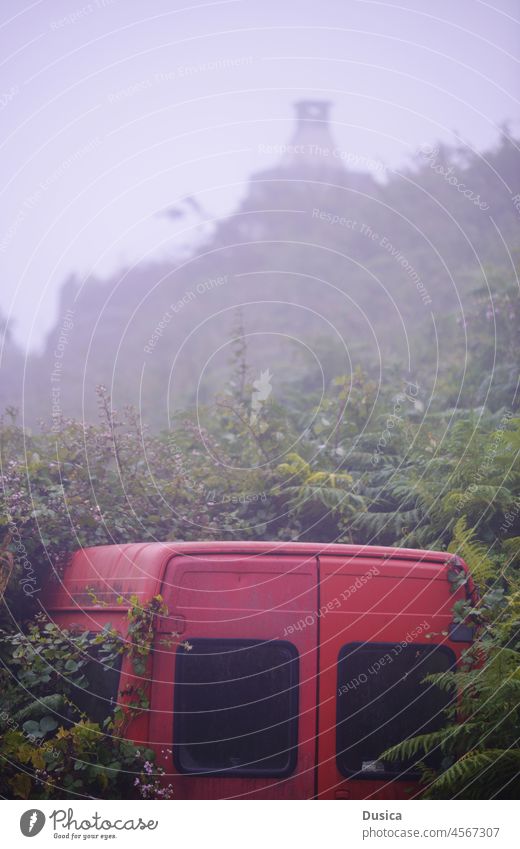 versteckter Lieferwagen Kleintransporter Fahrzeug Natur verborgen bewachsen grün Pflanzen neblig Tag Land Berge u. Gebirge rot Verlassen