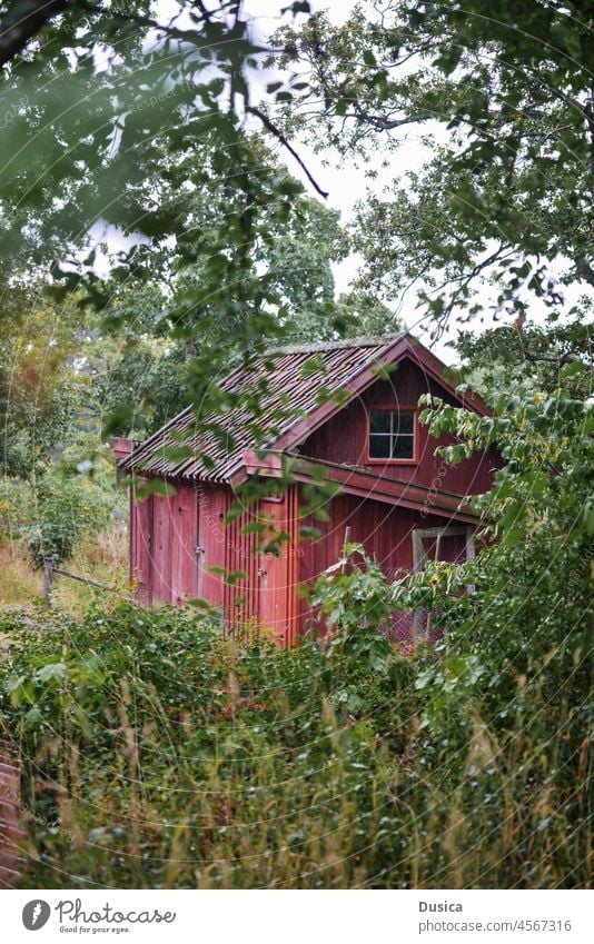 Haus in der Natur Holz hölzern rot Schwedisch Schweden Kabine Cottage verborgen Wald Wälder heimwärts Buchumschlag
