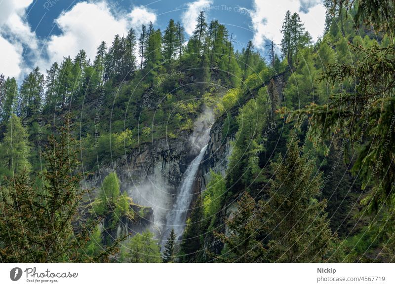 Wasserfall im Umbaltal (Umbalfälle), Natialpark Hohe Tauern, Osttirol Österreich Nationalpark Hohe Tauern Wald Fichten Ausblick Berge u. Gebirge zirbe Alpen