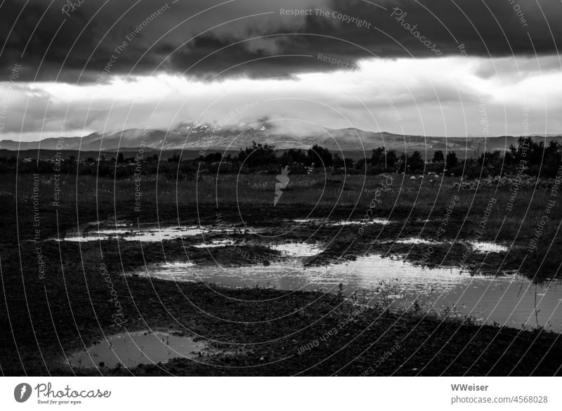 Eine isländische Landschaft: Wasser, Berge, karges, kaltes Land Island Natur Pfützen Regen nass spiegeln Wolken Himmel Ferne Menschenleer Klima natürlich