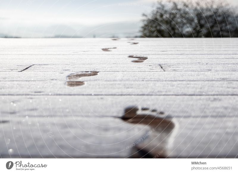 Spuren von nackten Füßen im Eis nacktheit nackte Füße Eiskristall kalt November Dezember Winter gehen laufen Wege & Pfade allein Holz Terrasse verfolgen