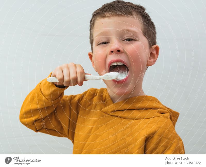 Junge beim Zähneputzen im Badezimmer Kind Bürste Zahnbürste Porträt in die Kamera schauen Hygiene täglich Routine mündlich Personal heimisch Pflege Morgen