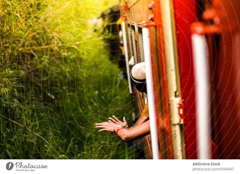Anonyme Person fährt mit dem Zug entlang grüner Pflanzen Passagier Mitfahrgelegenheit reisen Ausflug Verkehr Reise Abenteuer Natur Fenster Sommer Reisender