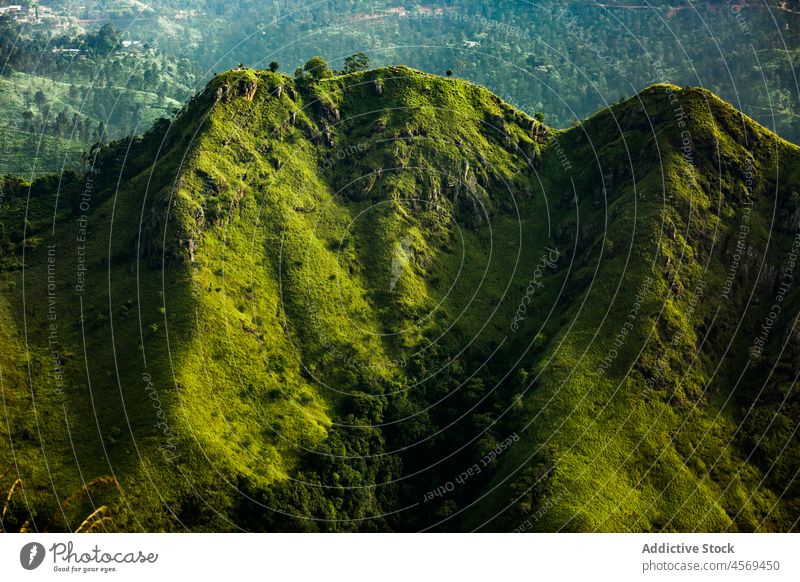 Bergkamm in wilder Natur Berge u. Gebirge Kamm Hochland Berghang Wald Gipfel steil Reittier Sommer Umwelt Top atemberaubend Ambitus Formation massiv Sri Lanka
