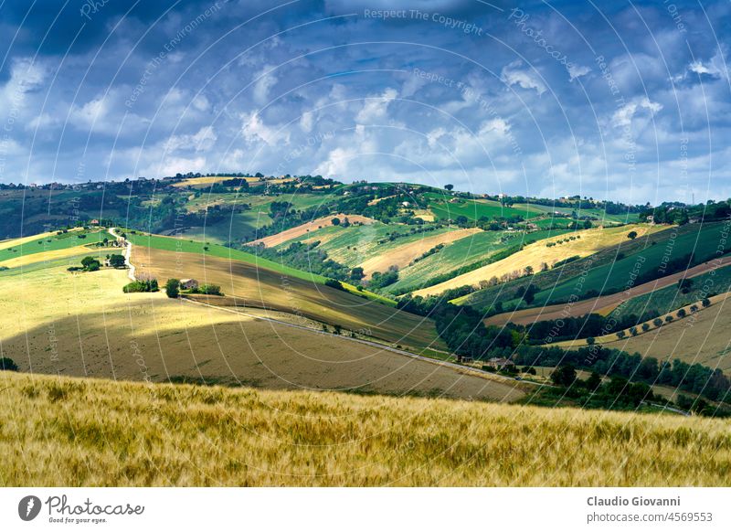 Ländliche Landschaft in der Provinz Fermo, Marken, in der Nähe von Monterubbiano Europa fermo Italien Marche Moresco Ackerbau Farbe Tag Bauernhof Feld grün