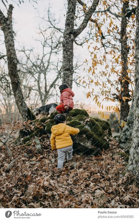 Bruder und Schwester erkunden den Wald Geschwister Kind Kindheit 1-3 Jahre 3-8 Jahre Kaukasier Mensch Außenaufnahme Spielen Tag Familie & Verwandtschaft