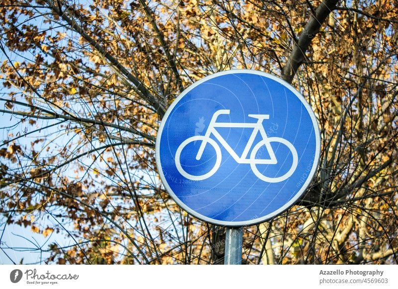 Fahrradwegweiser mit Baumzweigen im Hintergrund Radfahren blau Bokeh kreisen Großstadt Zyklus Regie Fitness Gesundheit Ikon beleuchtet Fahrspur Lifestyle Metall