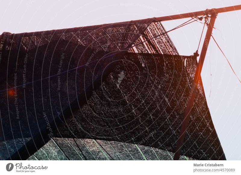 Nahaufnahme von zum Trocknen aufgehängten Fischernetzen im Gegenlicht des Sonnenuntergangs im Mekong-Delta, Vietnam hintergrundbeleuchtet Fischen Asien