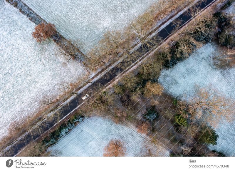 Straße durch winterliche Landschaft Eichenallee Winter Schnee Alleebäume kalt Wege & Pfade Baum Natur Eis Vogelperspektive Drohnenansicht von oben Frost