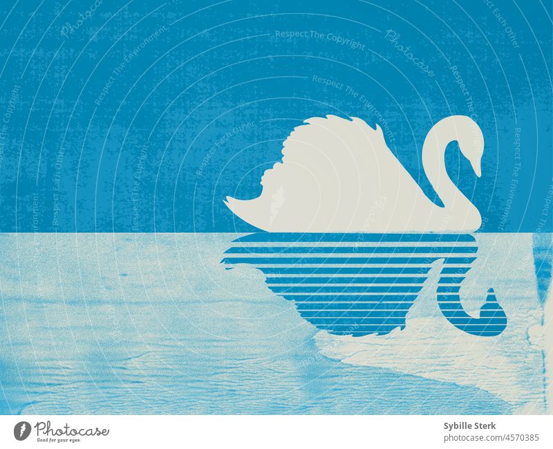 Schwan auf See Vogel Negativraum Reflexion & Spiegelung Halbton drucken Textur einfach minimalistisch Winter Wasser Natur Tier