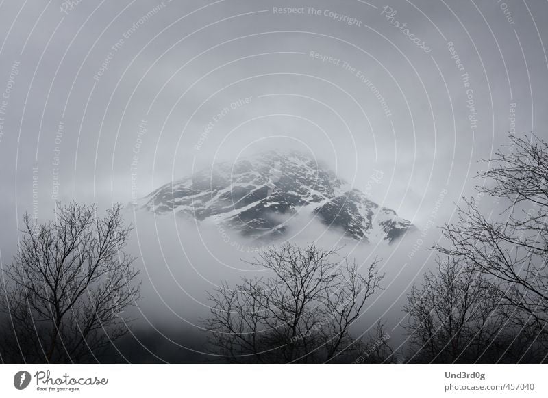 Nebel Landschaft Berge u. Gebirge Schneebedeckte Gipfel Norwegen Menschenleer gruselig Verschwiegenheit ruhig Abenteuer Außenaufnahme Morgendämmerung