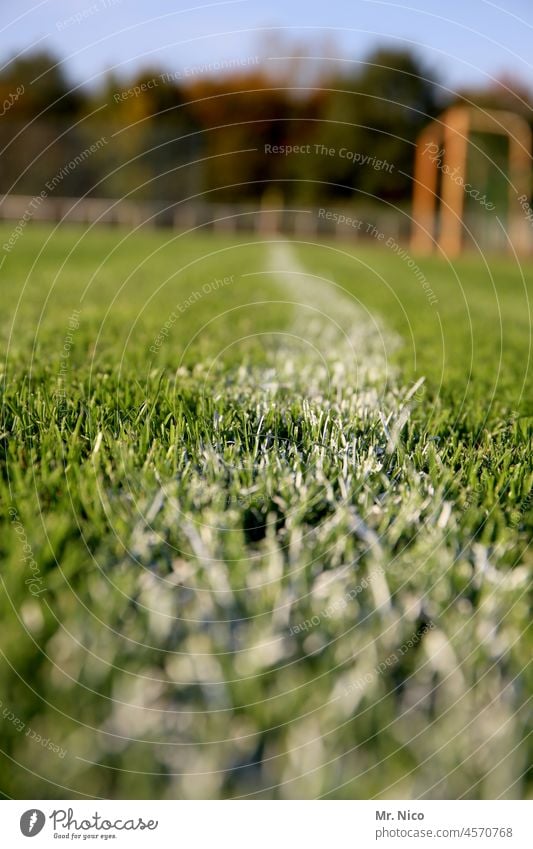 weiße Linie auf grünem Untergrund Gras krumm Seitenlinie Spielfeld Wiese Sportrasen grasgrün Grünfläche Fußballplatz Sportstätten Sportveranstaltung