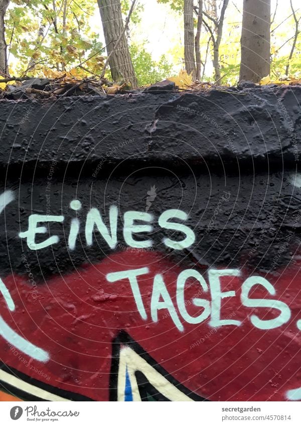 [UT Berlin 2021] Eines Tages ergibt alles einen Sinn. Graffiti Natur Schmiererei bunt Jugendkultur Straßenkunst Wand Wort Subkultur Typographie trashig Kultur