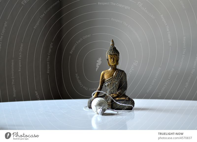Buddha mit Silberkugel Dekoration Skulptur Bronze leerer Raum Buddha Statue Buddhismus Religion & Glaube Meditation Frieden Asien Kultur ruhig Yoga Zen