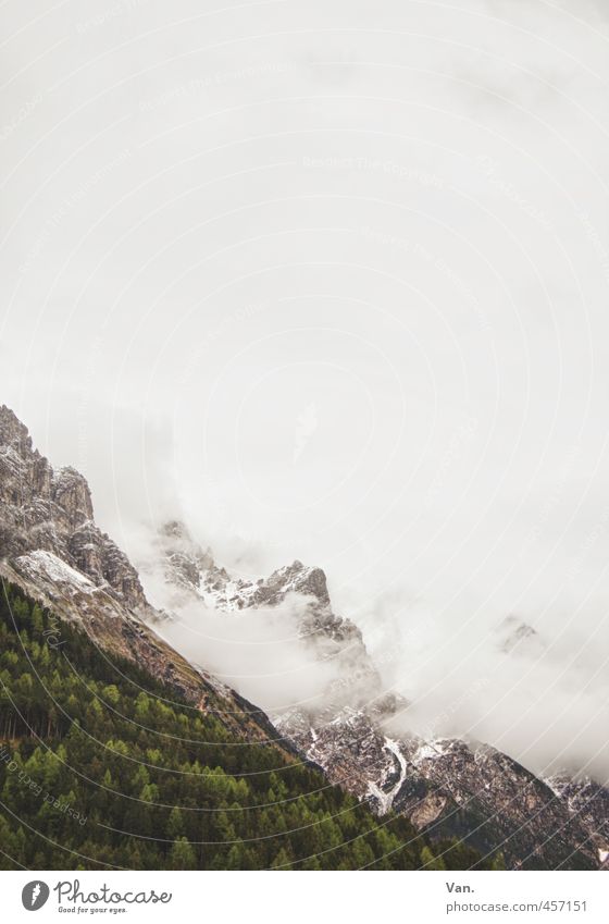 Zuckerwatteberge Berge u. Gebirge Natur Landschaft Pflanze Himmel Wolken schlechtes Wetter Nebel Schnee Baum Wald Felsen Alpen kalt grün Farbfoto