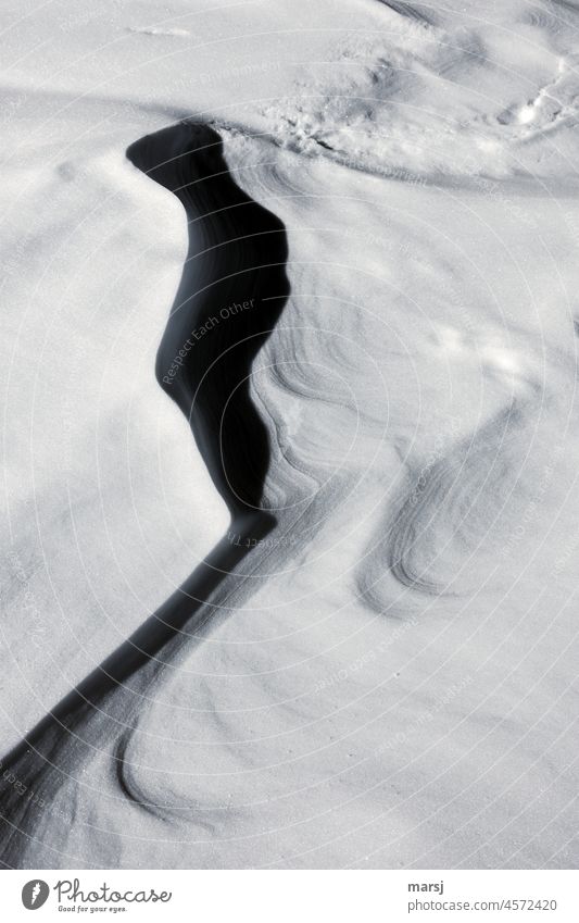 Schnee wie Sand. Detail einer windgeformten Schneedecke mit skurrilem Schatten. Winter Natur Frost einzigartig kalt natürlich frisch verschneit Schneefeld
