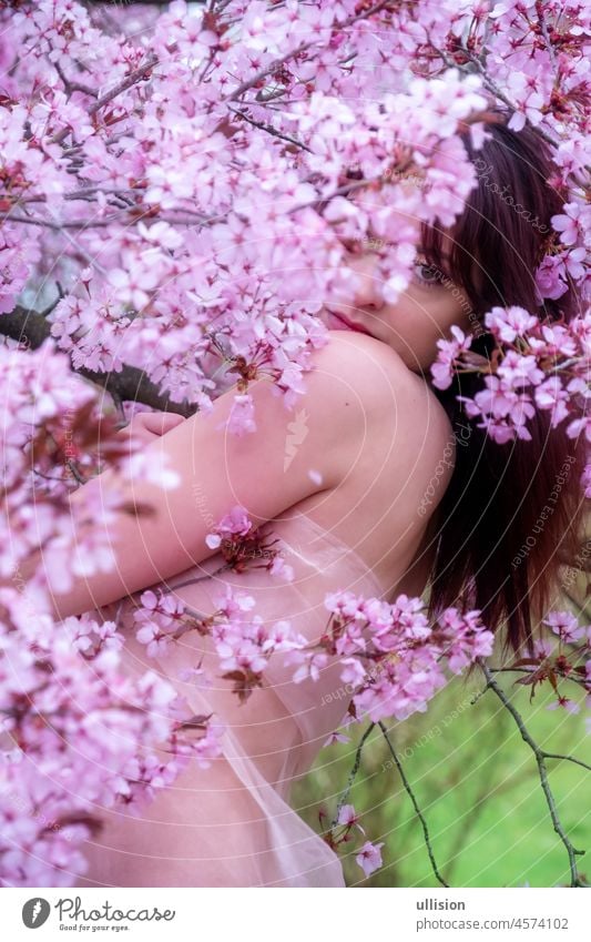 sinnlich, verführerisch, Porträt einer sexy, jungen, brünetten Frau in rosa Kleid in rosa Blume Baum blüht im Frühjahr Erwachen, Sakura, Kopie Raum Blumen