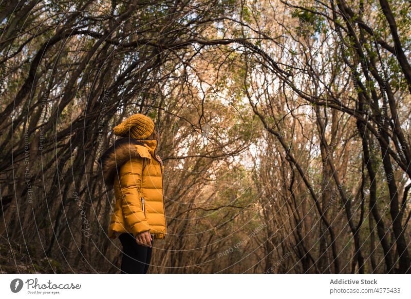 Unbekannte Frau geht im Herbstwald spazieren Wanderer Natur Wälder Trekking Wald Waldgebiet Baum reisen Spaziergang erkunden Ausflug Fernweh Abenteuer Spanien