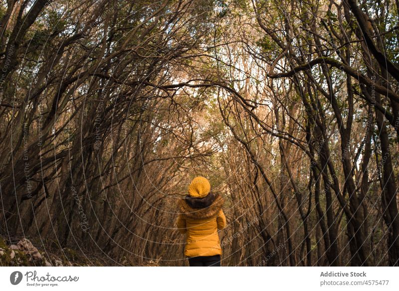 Unbekannte Frau geht im Herbstwald spazieren Wanderer Natur Wälder Trekking Wald Waldgebiet Baum reisen Spaziergang erkunden Ausflug Fernweh Abenteuer Spanien