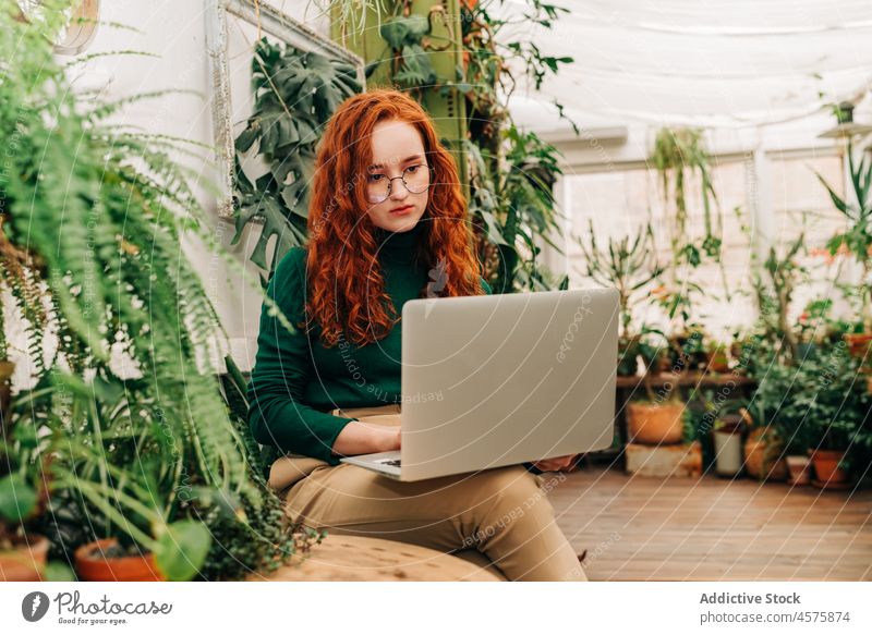 Seriöse Frau arbeitet am Laptop im Innengarten freiberuflich benutzend Arbeit online Internet Konzentration Telearbeit Garten abgelegen Browsen Job Surfen