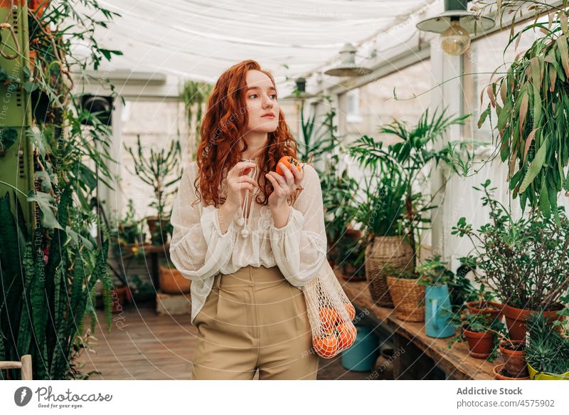 Rothaarige Frau mit Mandarinen im Innengarten Einkaufsnetz Garten Zimmerpflanze kultivieren Laubwerk wachsen wiederverwenden zu Hause Hobby umweltfreundlich