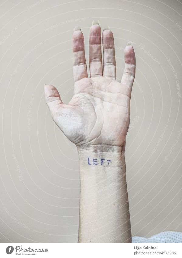 Linke Hand linkshändig Finger Farbfoto Mensch schreiben Hintergrund neutral Textfreiraum oben feminin Zentralperspektive Erwachsene 1 Frau Studioaufnahme