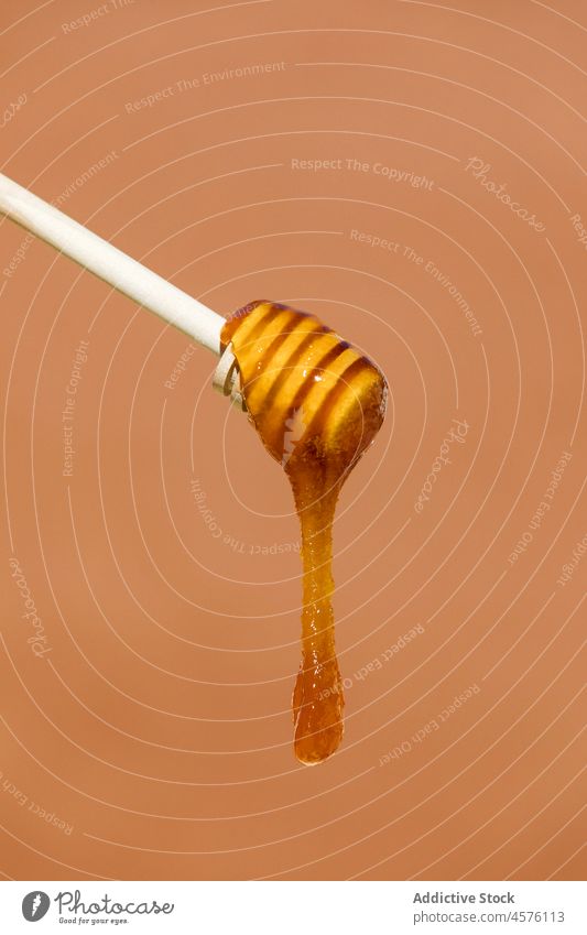 Honig, der vom Holzlöffel tropft Liebling süß Tropfer Löffel hölzern Abblendschalter Utensil Dessert Gesundheit natürlich geschmackvoll Atelier lecker braun