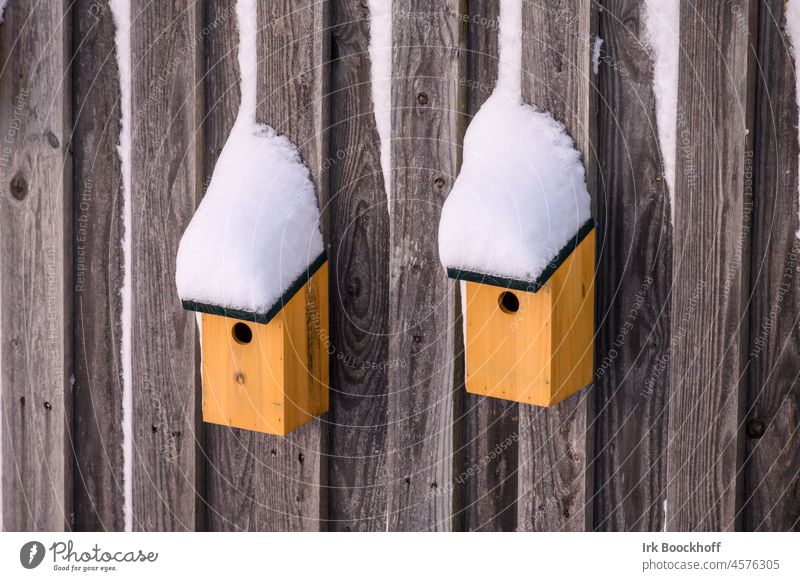 2 Vogelhäuschen mit schneebedeckten Dächern Eis Frost Schnee kalt Futterhäuschen Menschenleer Tag Außenaufnahme Farbfoto Umwelt Winter Natur außergewöhnlich