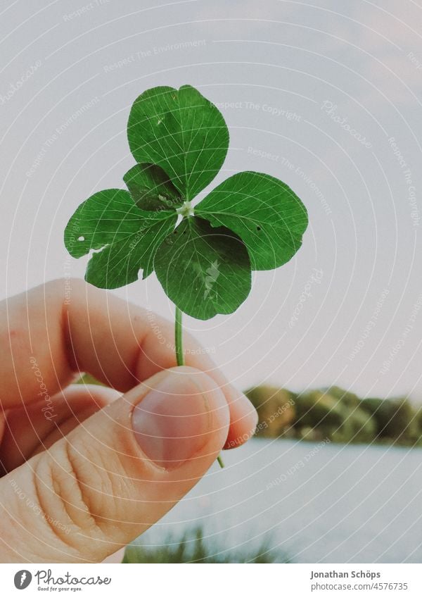 vierblättriges Kleeblatt in einer Hand als Symbol für Glück und Aberglaube Lotto lottogewinn Glücksspiel Glücksspieler neujahrsvorsatz Ziel Geld Zufall