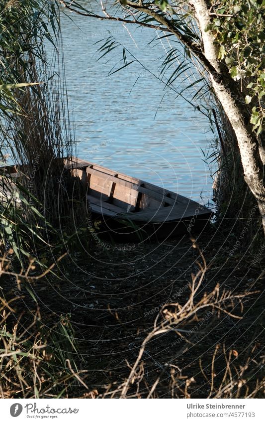 Verstecktes Fischerboot am Ufer des Szelid Sees Naturschutzgebiet Liegeplatz Ungarn Boot Süßwasser Wasser Angeln Fischen Freizeit & Hobby Erholung Naturerlebnis