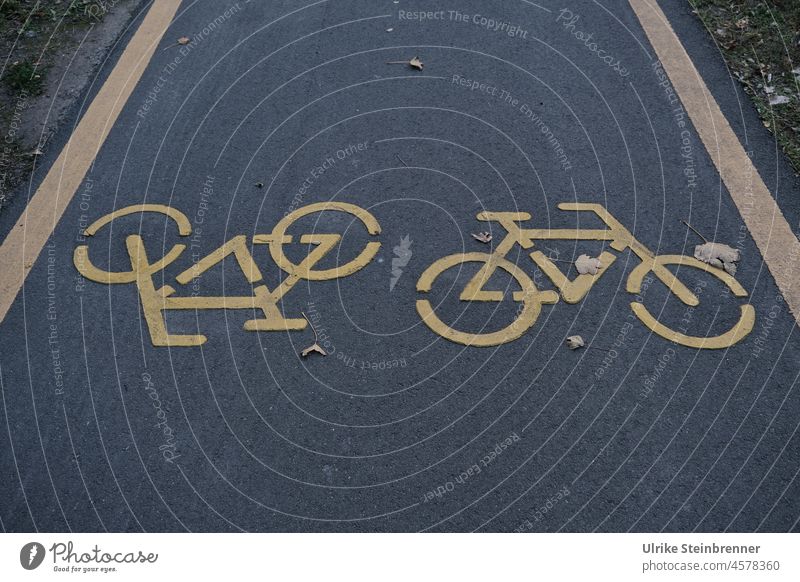 Markierung für Gegenverkehr von Fahrrädern auf einem Radweg Straße Asphalt Fahrbahnmarkierung Zeichen Wegweiser Zacken Spitzen Grau Weiß Hinweis Orientierung
