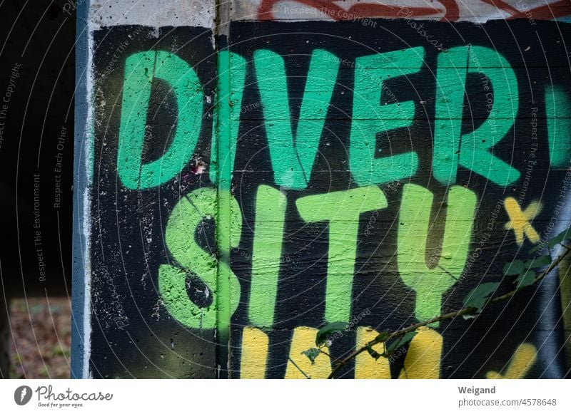 Diversity Gender Geschlechter plural Vielseitig bunt Integration schwarz weiß Gesellschaft grün Graffiti Slogan