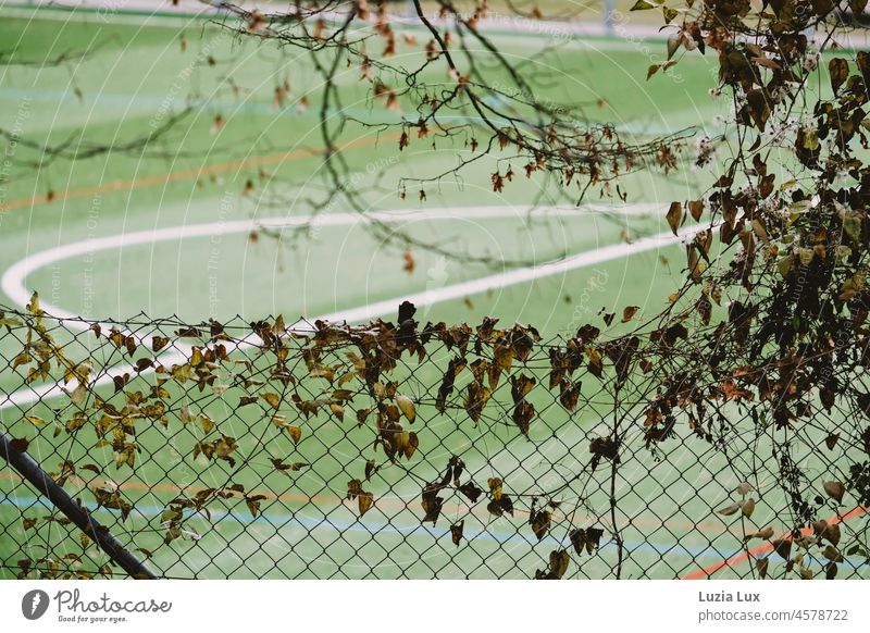 Ein leerer Sportplatz von oben, umrahmt von Maschendrahtzaun und Herbstlaub Zaun Menschenleer Drahtzaun Linien grün Farben Markierungen Unschärfe verlassen