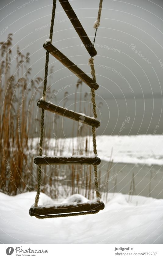 Strickleiter in Winterlandschaft Leiter Schnee See Seeufer Seeufer im Winter Eis Frost kalt Natur gefroren weiß Schilf Klettern Nebel Dunst Ruhe melancholie