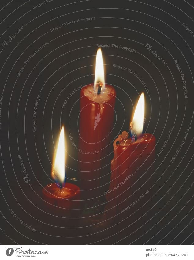 Adventslichter Kerze Kerzenschein Kerzendocht Flamme Kerzenstimmung Zeichen leuchten Zusammensein rot brennen Religion & Glaube Hoffnung ruhig 3