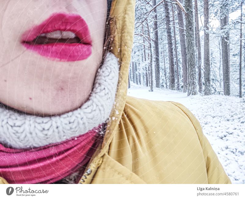 Gemalte Lippen in winterlicher Umgebung Mund Frau Lippenstift feminin Schminke Mensch Kosmetik Haut Gesicht 1 Nahaufnahme Schminken rot Winter Schnee kalt