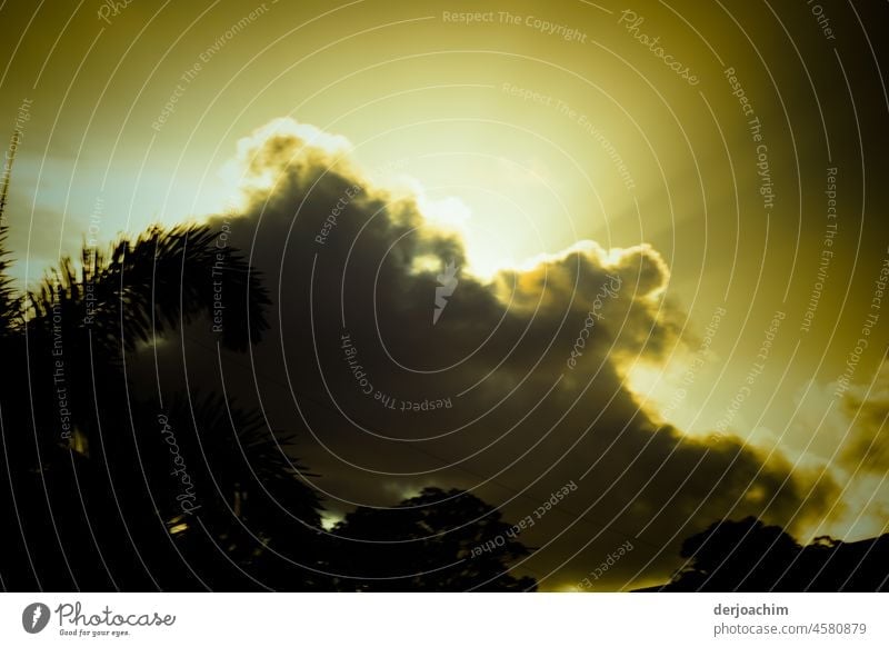Gespenstische Mystische Wolkenformationen am Himmel in Binna Burra . Unten fast schwarz  und oben goldgelb von der Sonne angestrahlt. wolkenlandschaft