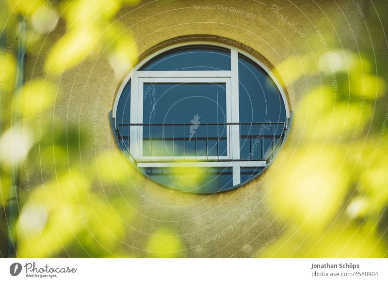 rundes Fenster an gelber Fassade hinter Bäumen Stil Neubau modern innenstadt Hausbau geometrisch Architektur Architekturfotografie Moderne Architektur