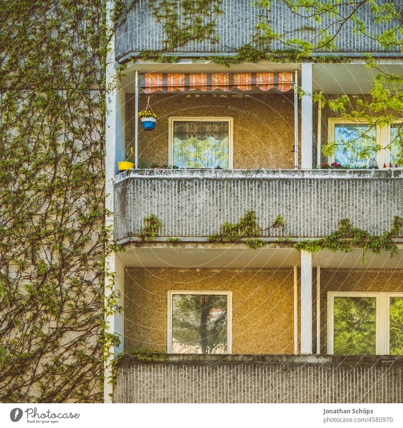 bewachsene Fassade mit Balkons an Plattenbau Wohnungen Bäume Baum grün Sommer Wohnblock wohnen wohnumfeld Miete Wohnhaus Mehrfamilienhaus begrünen wohnhaus