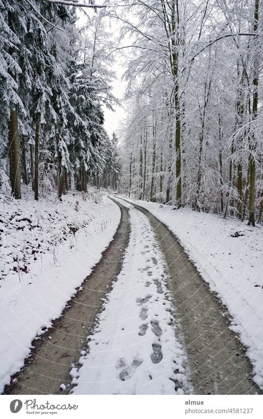 Fußspuren und Fahrzeugspuren auf einer Straße mitten durch den verschneiten Wald / Winter / Schneematsch Winterwald Spuren Schneelandschaft Winterstimmung