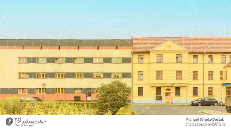 Gelbe Gebäude der Bauhausära in warmen Farben sommer Ast Baum Magdeburg bauen rot geometrie architektur siedlung fläche form minimal farbe moderne neues orange