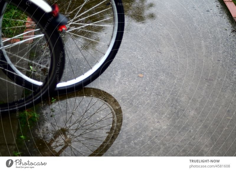 Besseres Wetter / Erwarten die Fahrräder / Die im Nassen steh'n Regenwetter Fahrrad nass Nässe Wasser abgestellt Pause parken Rad Gartenweg Überschwemmung