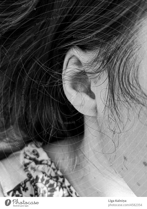 Abgeschnittenes Ohr Ohrmuschel Haare & Frisuren Ohrläppchen feminin hören Detailaufnahme Kopf Mensch Haut Nahaufnahme