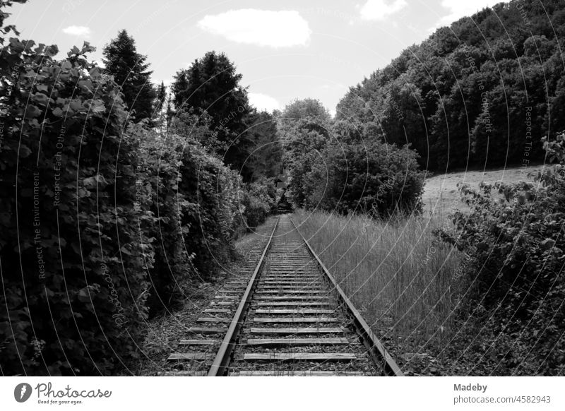 Fahrt mit der Fahrraddraisine auf stillgelegter Bahnstrecke durch das Kalletal Richtung Alverdissen bei Barntrup im Sommer in Ostwestfalen-Lippe, fotografiert in neorealistischem Schwarzweiß