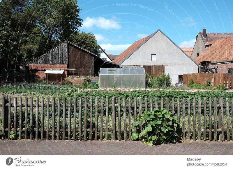 Holzzaun vor Gemüsegarten mit Gewächshaus vor einem Bauernhof im Sommer bei blauem Himmel und Sonnenschein in Alverdissen bei Barntrup im Kreis Lippe in Ostwestfalen-Lippe