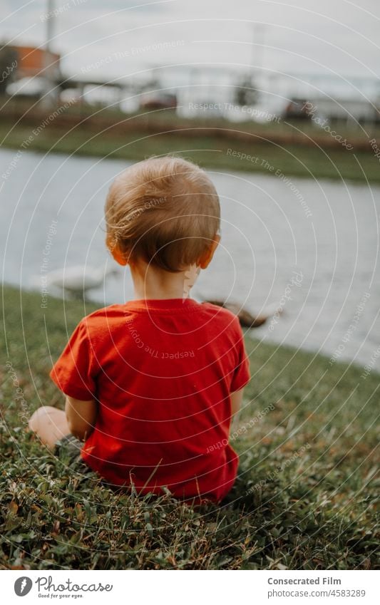 Kleiner goldblonder Junge sitzt im Gras und beobachtet die Enten am Rande eines Teiches niedlich bezaubernd wunderbar reisen See Tiere Freude Frieden