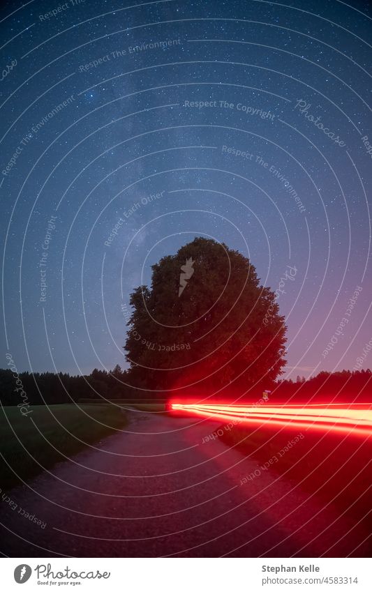 Milchstraße über einem Baum mit roten Lichtspuren eines Fahrrads in einer sternenklaren Nacht. Straße Landschaft Galaxie Weltall unbegrenzt Weg Wahl Gabel